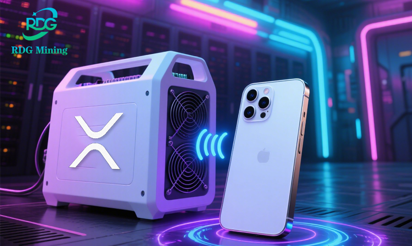 XRP1 (1)
